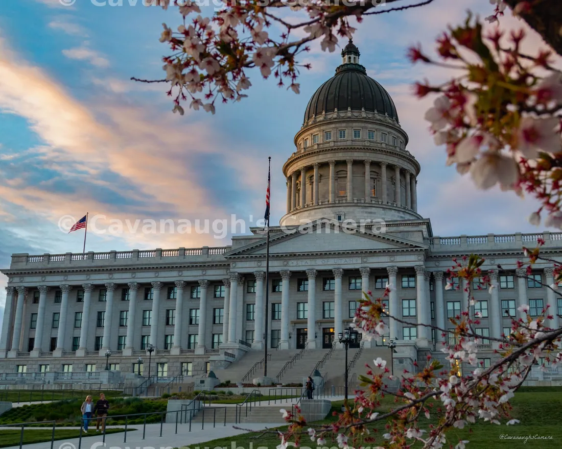 Utah State Capitol dome at dusk framed by cherry blossoms with visitors on the steps