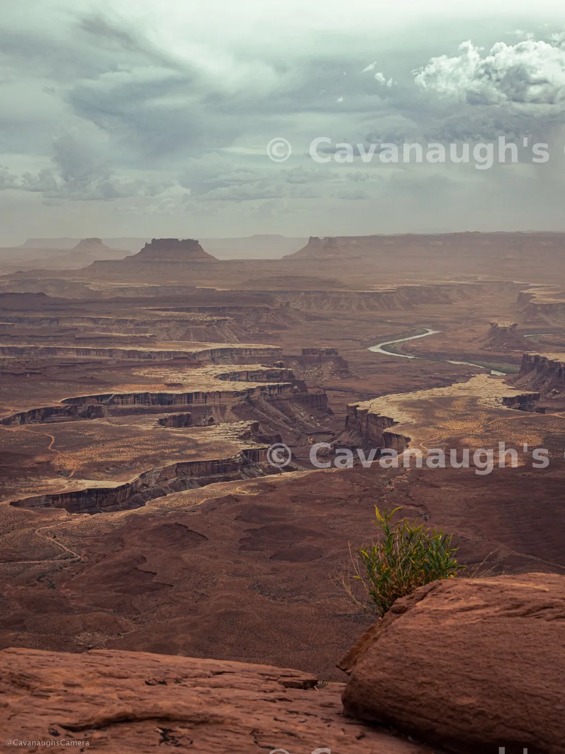 Green River winding through layered red rock canyons in Canyonlands National Park